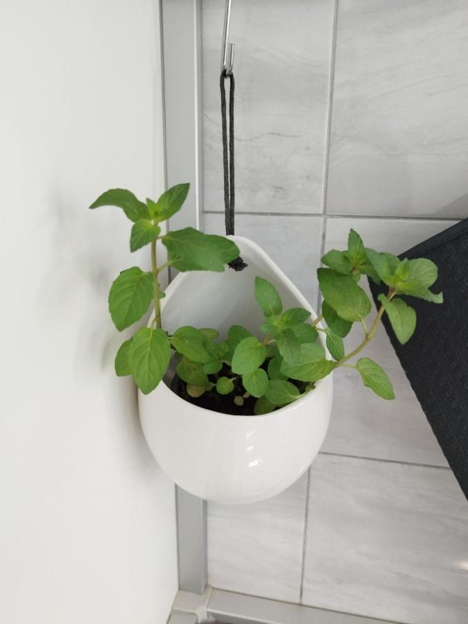 Antemma Apartment プーラ エクステリア 写真